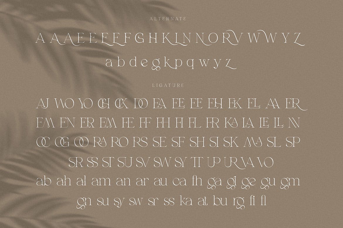经典优雅标题徽标Logo设计衬线英文字体安装包 Gatlinburg - Modern Serif Font_img_2