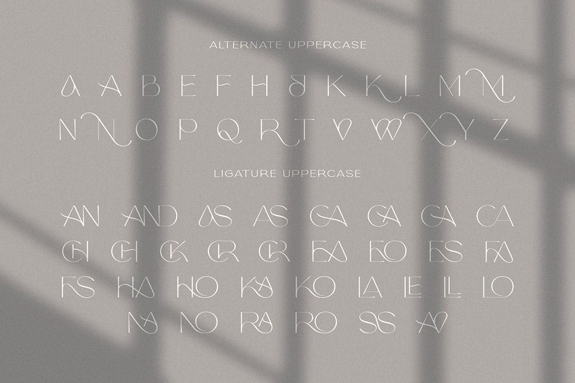 现代时尚纤细标题品牌Logo设计衬线英文字体下载 The Rivers - Modern Sans Font_img_2