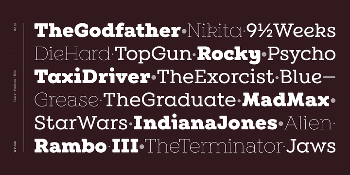 28款现代几何平板衬线英文字体家族 Winden Font Family_img_2