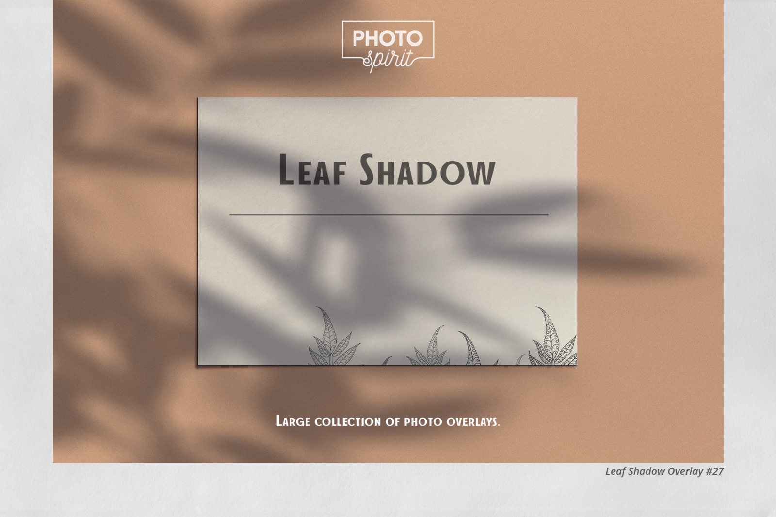 69个华丽树叶阴影Ps叠加背景图片设计素材 Leaf Shadow Overlays_img_2