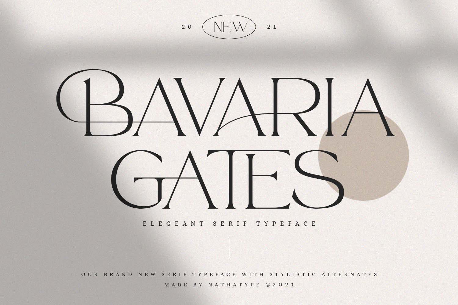 现代海报品牌徽标logo设计衬线英文字体 Bavaria Gates_img_2