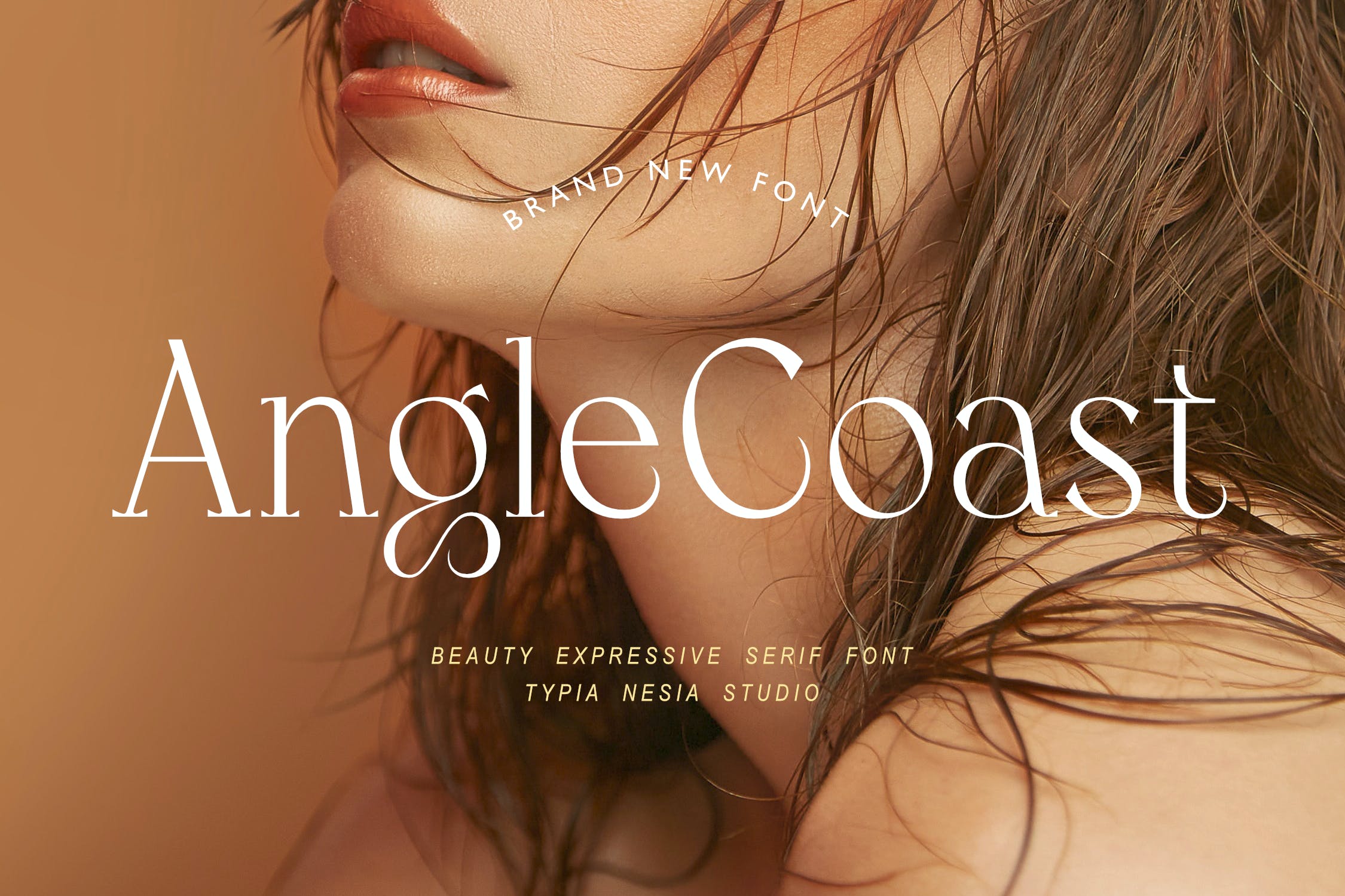 时尚优雅品牌杂志标志设计衬线英文字体 Angle Coast - Elegant Beauty Expressive Serif Font_img_2