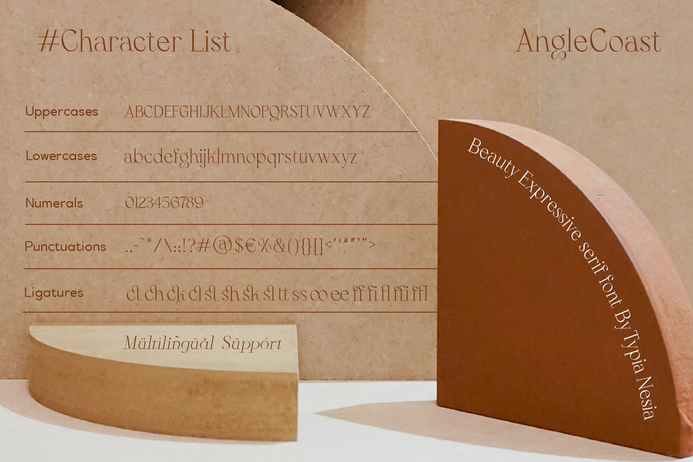时尚优雅品牌杂志标志设计衬线英文字体 Angle Coast - Elegant Beauty Expressive Serif Font_img_2