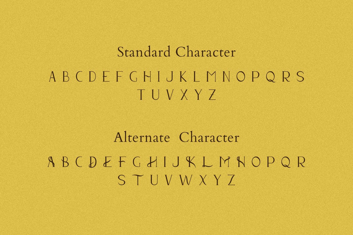 优雅杂志海报徽标logo设计衬线英文字体 Vara - Display Serif Font_img_2