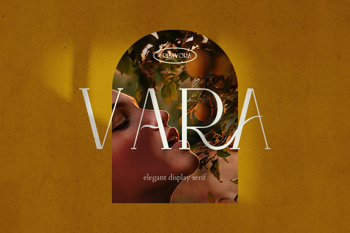 优雅杂志海报徽标logo设计衬线英文字体 Vara - Display Serif Font_img_2
