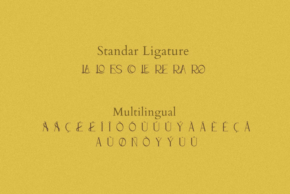 优雅杂志海报徽标logo设计衬线英文字体 Vara - Display Serif Font_img_2
