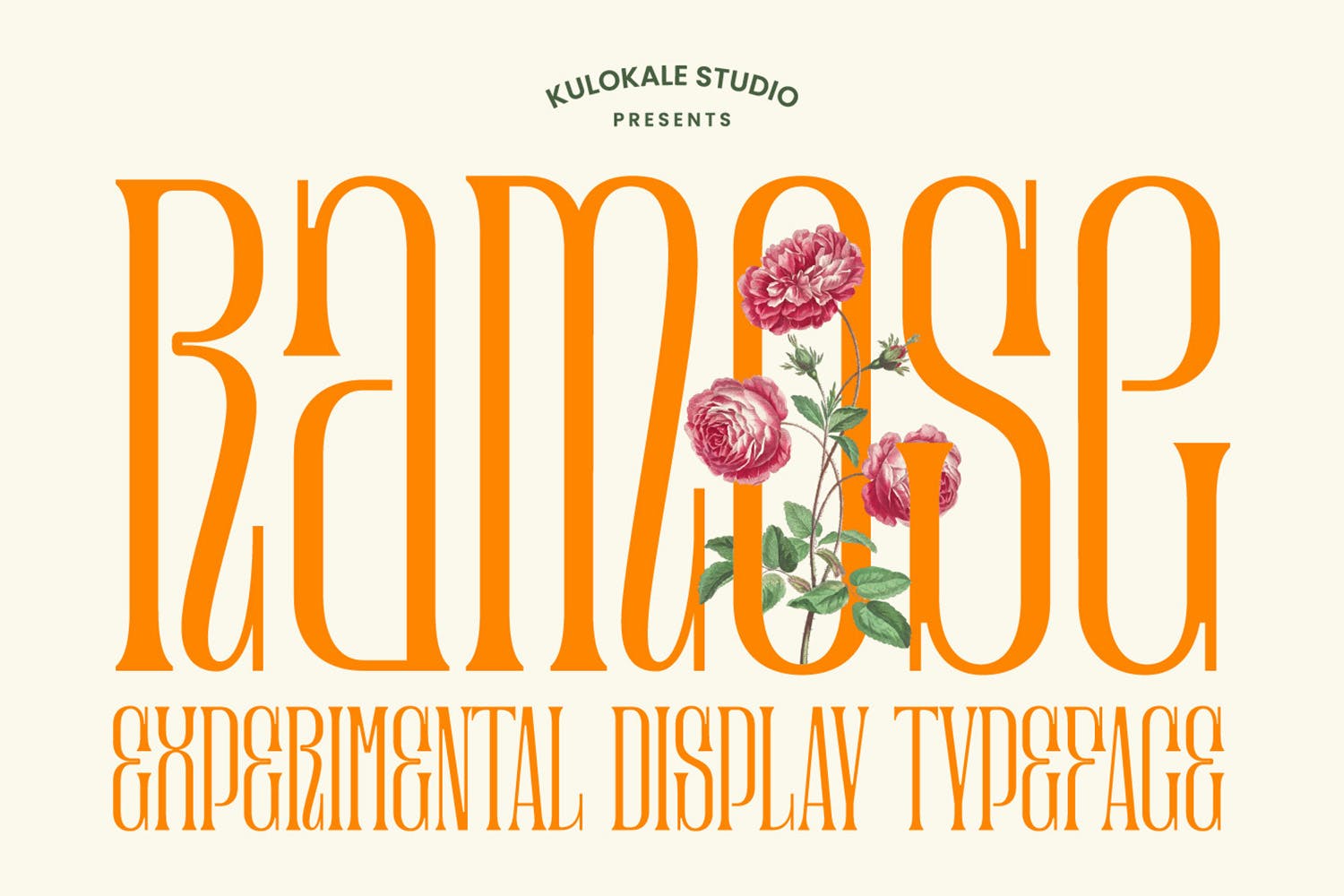 复古优雅品牌标识标题设计衬线英文字体 Ramose - Experimental Classic Display Serif Font_img_2