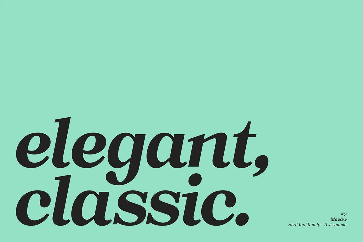现代复古网页标志Logo设计衬线英文字体下载 Macaw - Serif Typeface_img_2