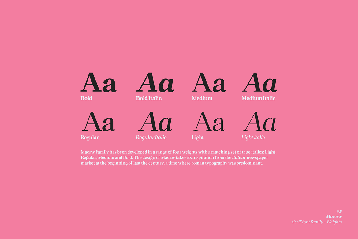 现代复古网页标志Logo设计衬线英文字体下载 Macaw - Serif Typeface_img_2