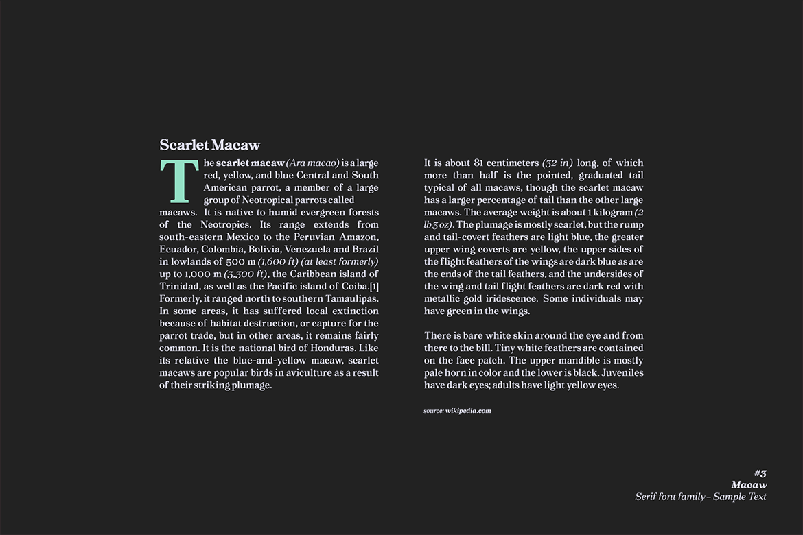 现代复古网页标志Logo设计衬线英文字体下载 Macaw - Serif Typeface_img_2