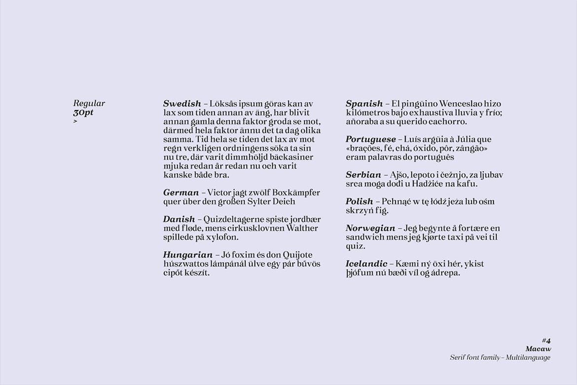 现代复古网页标志Logo设计衬线英文字体下载 Macaw - Serif Typeface_img_2