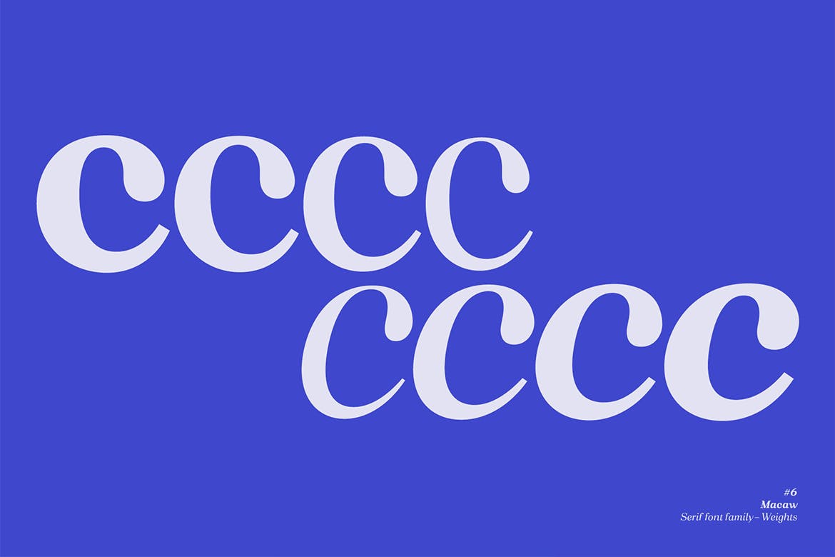 现代复古网页标志Logo设计衬线英文字体下载 Macaw - Serif Typeface_img_2