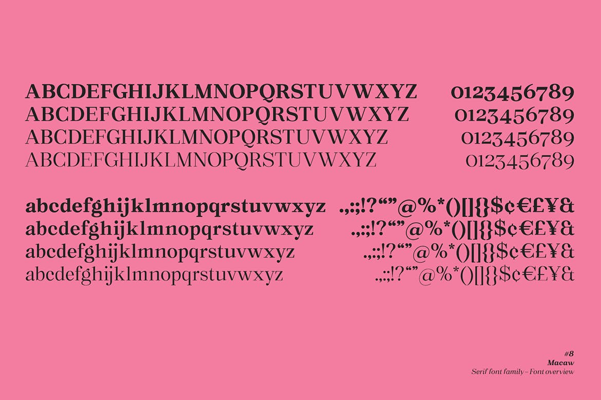 现代复古网页标志Logo设计衬线英文字体下载 Macaw - Serif Typeface_img_2