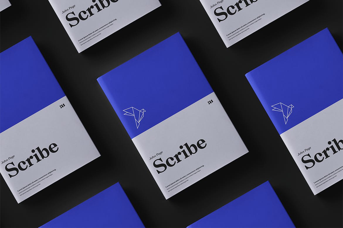 现代复古网页标志Logo设计衬线英文字体下载 Macaw - Serif Typeface_img_2