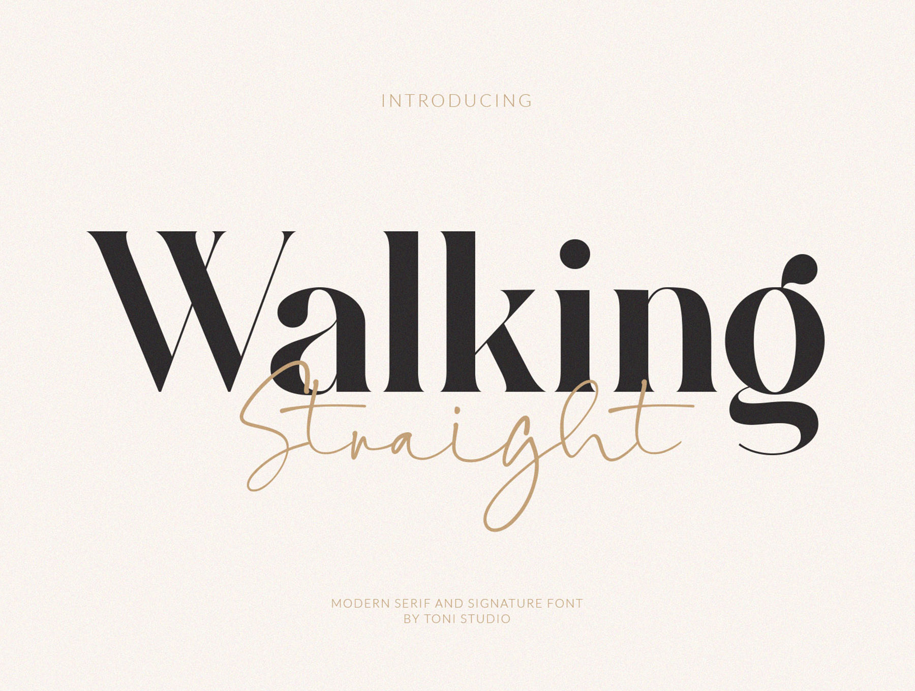 现代经典品牌标题徽标Logo设计衬线英文字体素材包 Walking Straight Font_img_2