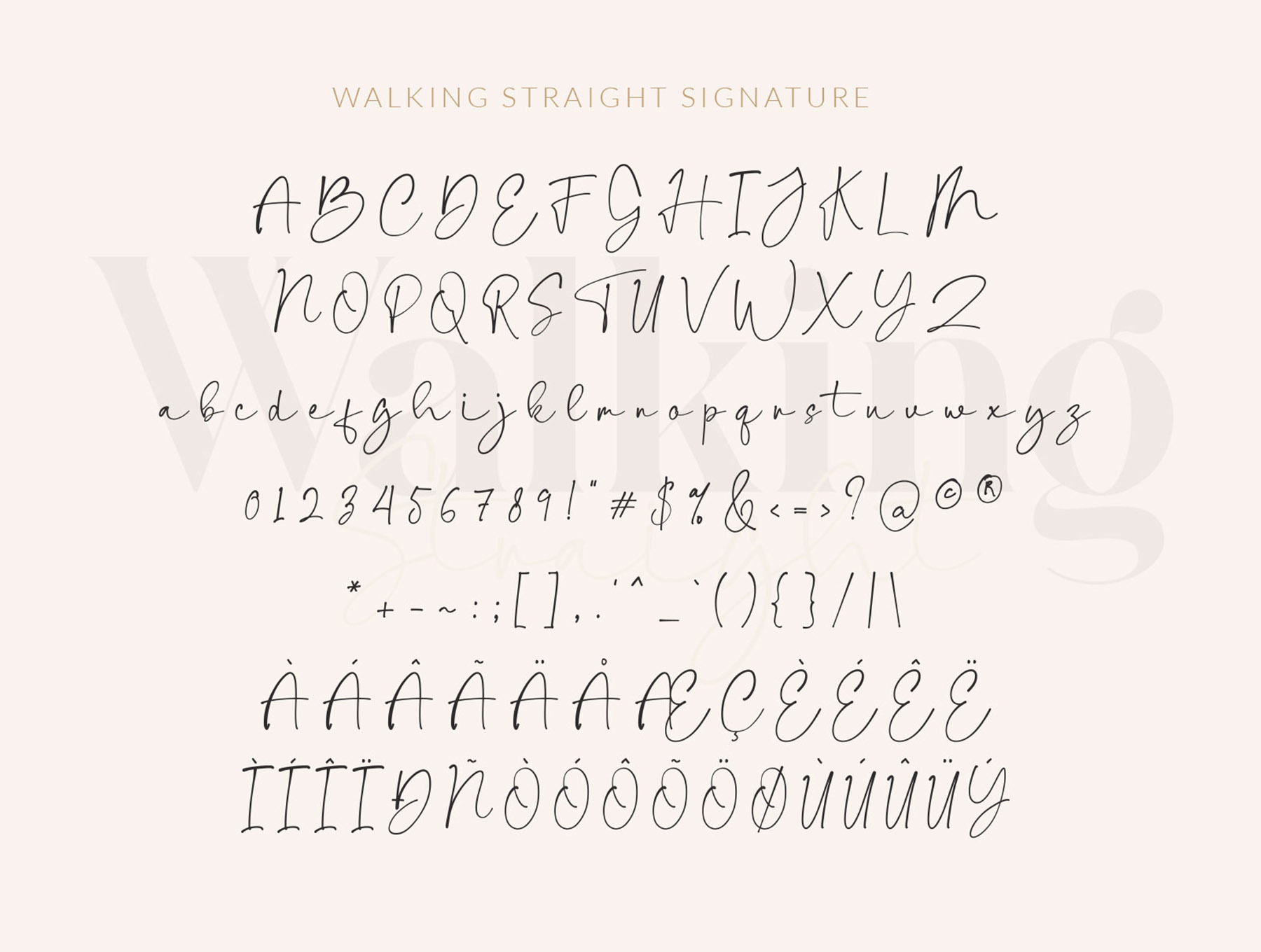 现代经典品牌标题徽标Logo设计衬线英文字体素材包 Walking Straight Font_img_2