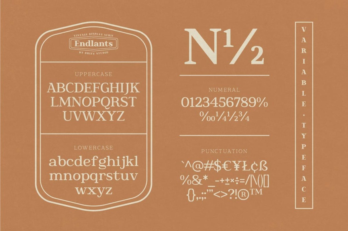 时尚复古标志海报徽标logo设计衬线英文字体 Endlants_img_2