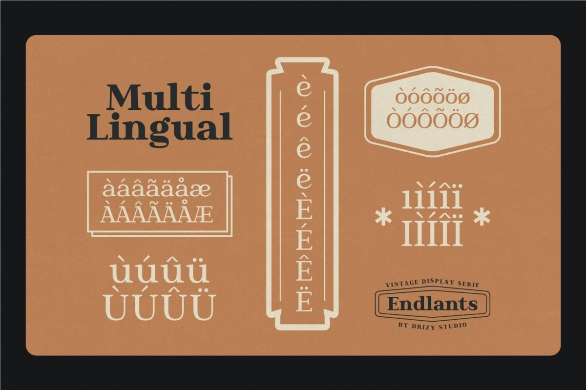 时尚复古标志海报徽标logo设计衬线英文字体 Endlants_img_2