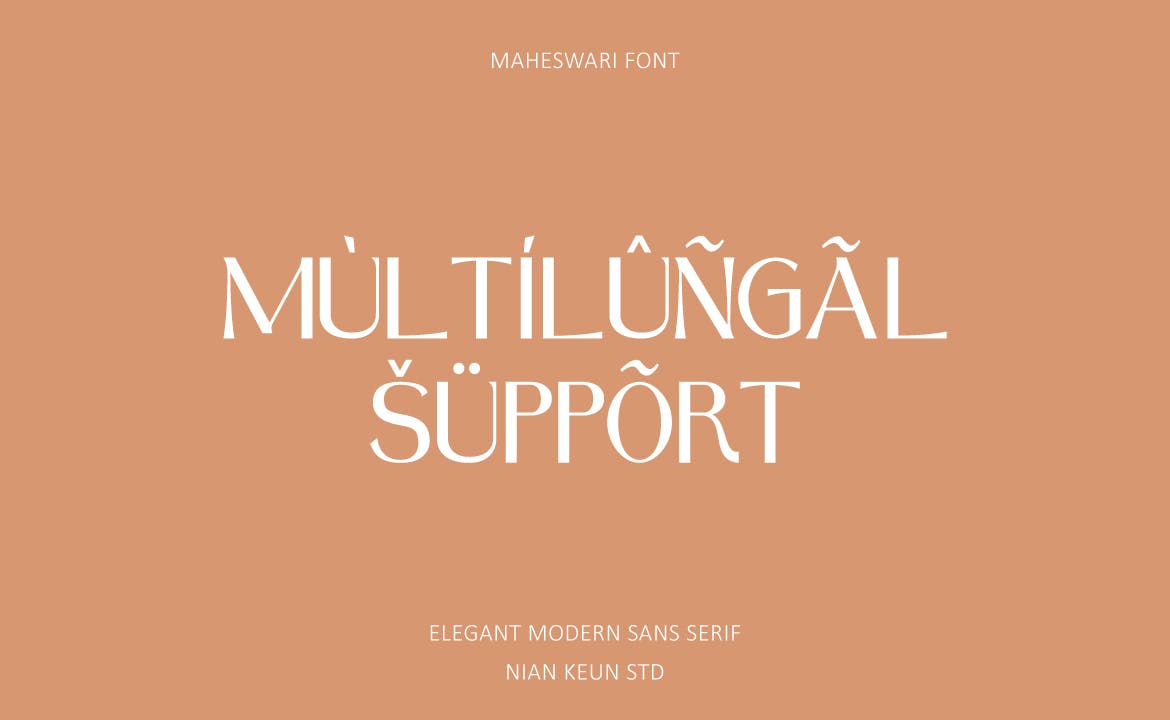 优雅标题标识徽标logo设计无衬线英文字体 Maheswari Elegant Font MS_img_2