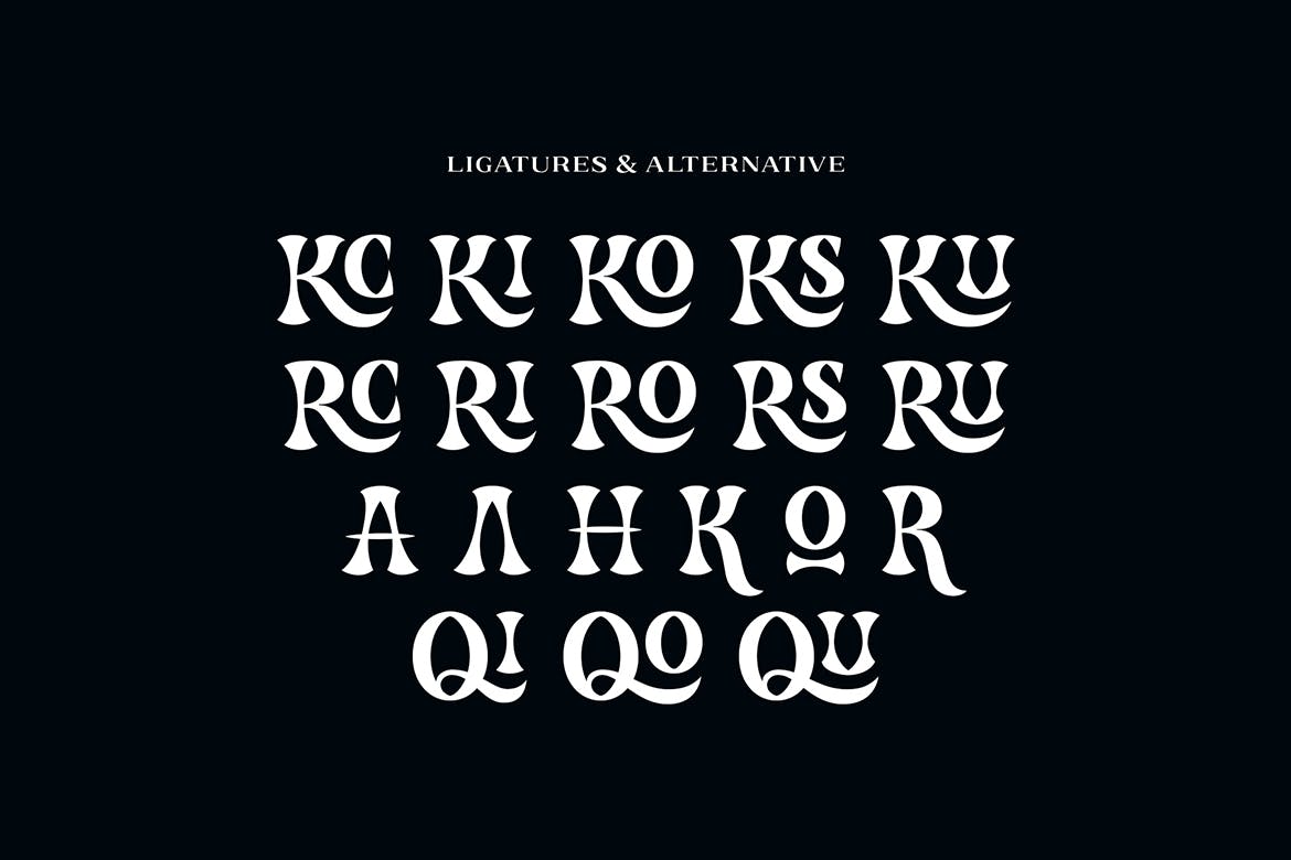 现代复古杂志海报标识设计衬线英文字体 Caupako Font_img_2