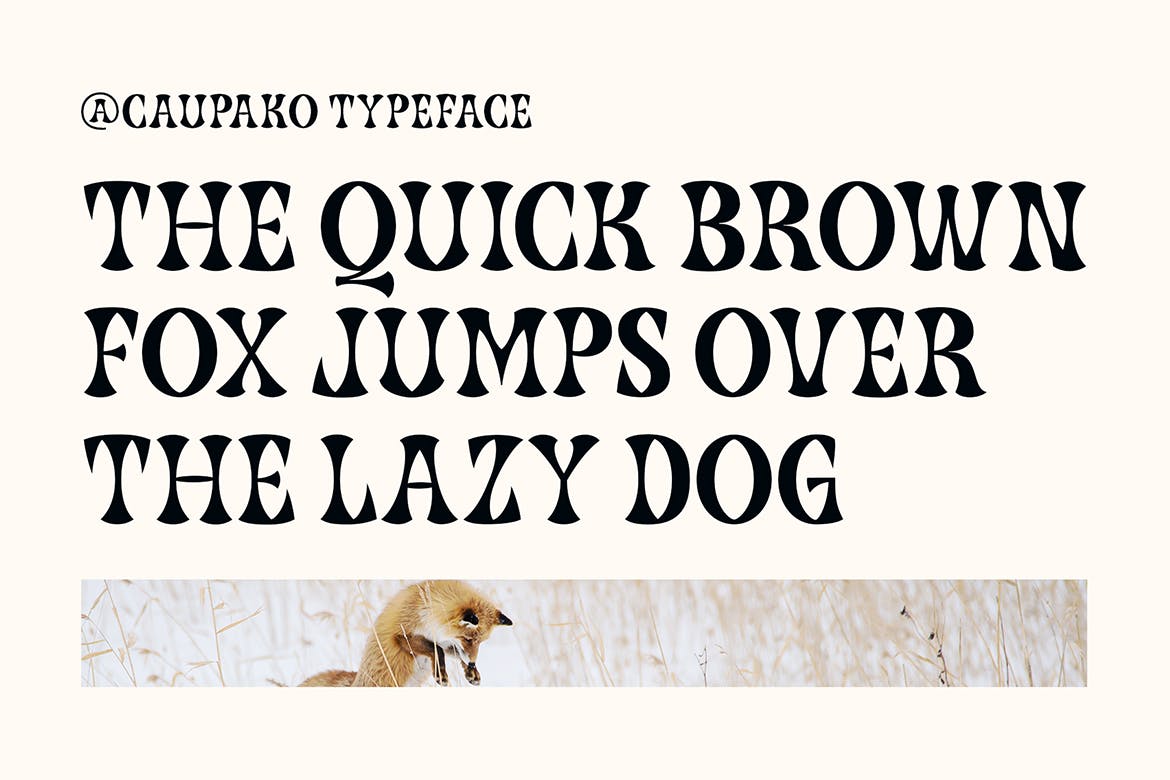 现代复古杂志海报标识设计衬线英文字体 Caupako Font_img_2