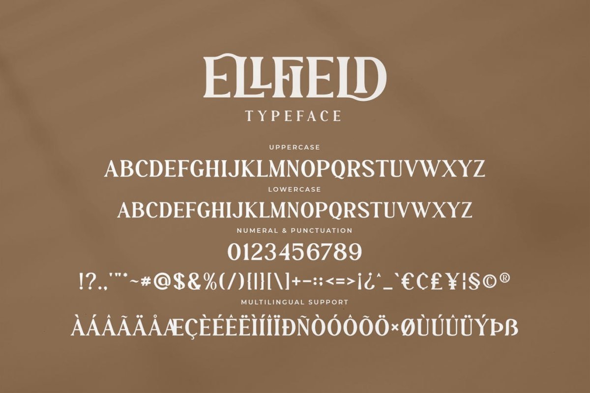 现代品牌标识标志设计衬线英文字体 ELLFIELD_img_2