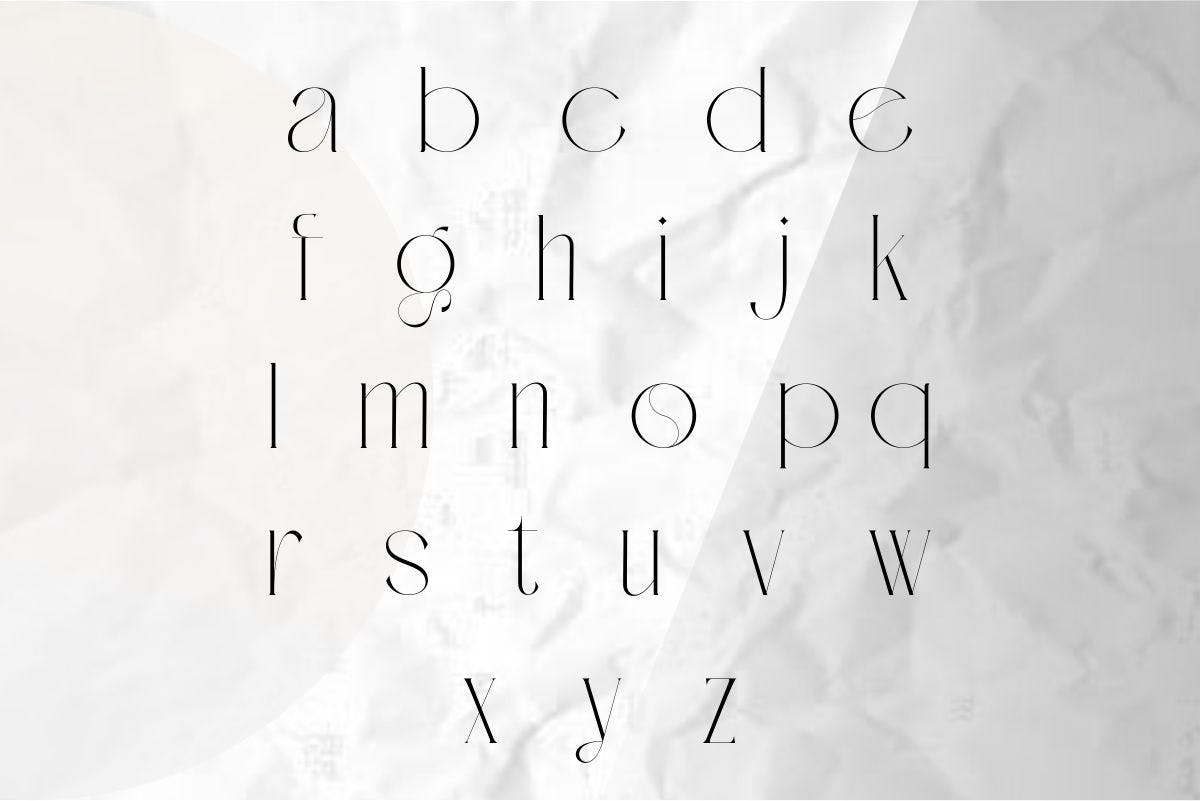 时尚海报品牌徽章设计衬线英文字体 Rosalia  Modern Stylish_img_2