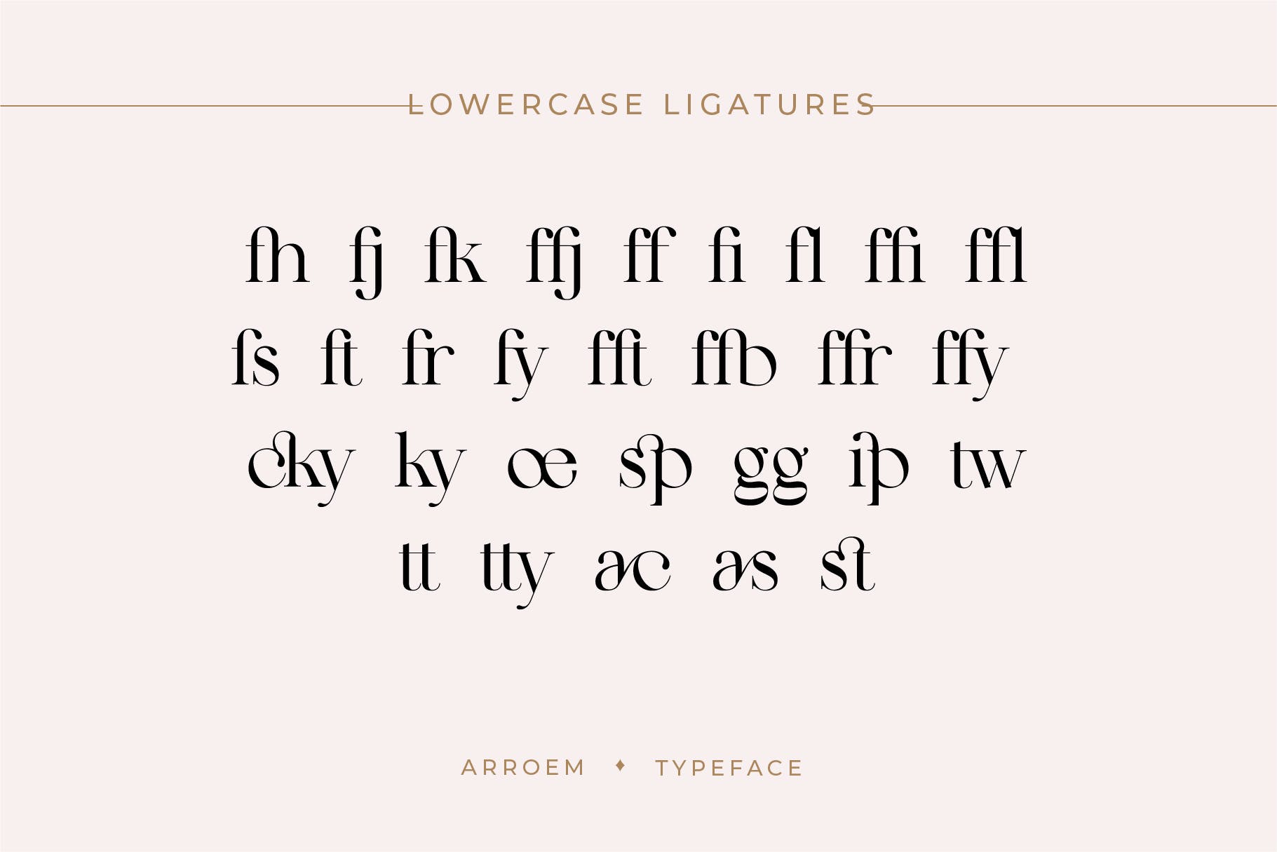 现代时尚杂志品牌徽标logo设计衬线英文字体 Arroem - Serif Display Font_img_2