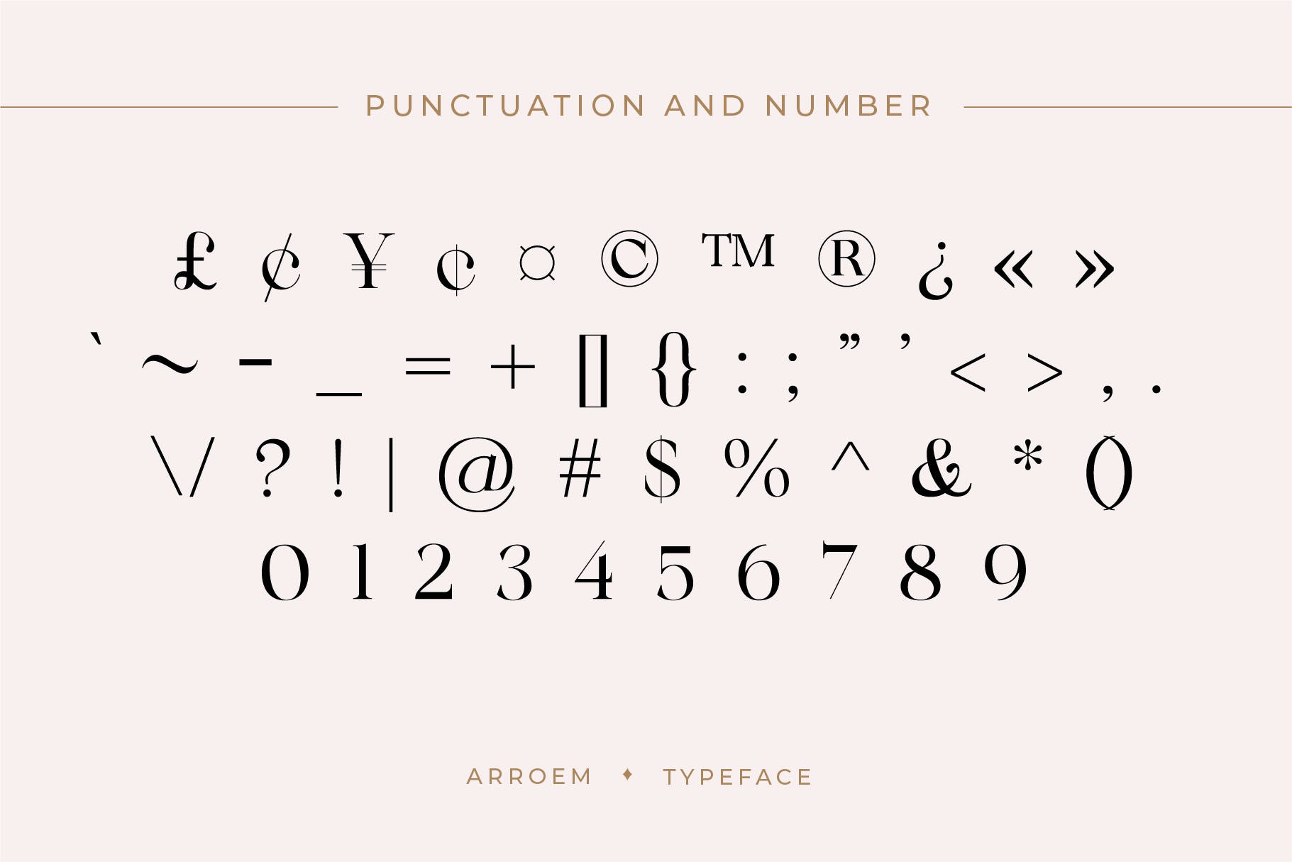 现代时尚杂志品牌徽标logo设计衬线英文字体 Arroem - Serif Display Font_img_2