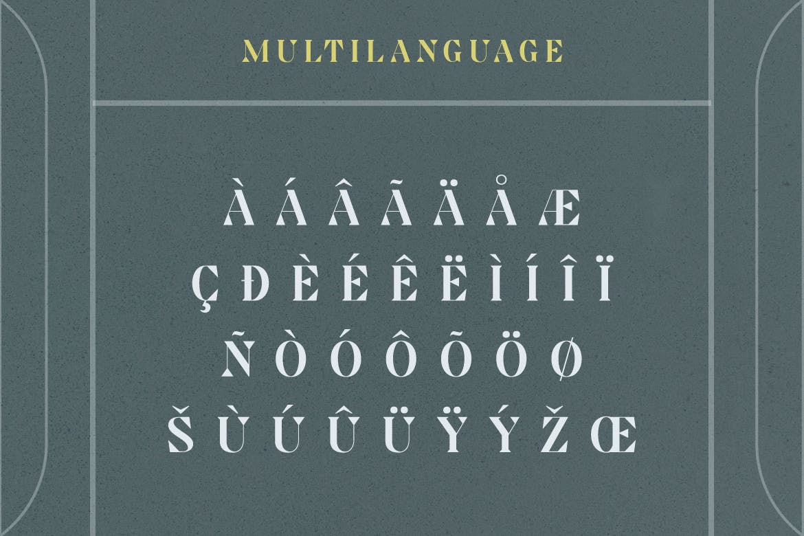 复古海报标题标签设计衬线英文字体 Modern Classic Serif Font_img_2