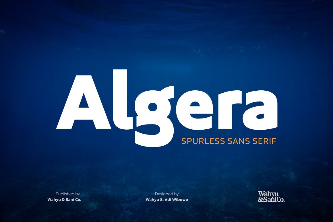 狂野海报标题徽标logo设计无衬线英文字体安装包 Algera Font Family_img_2