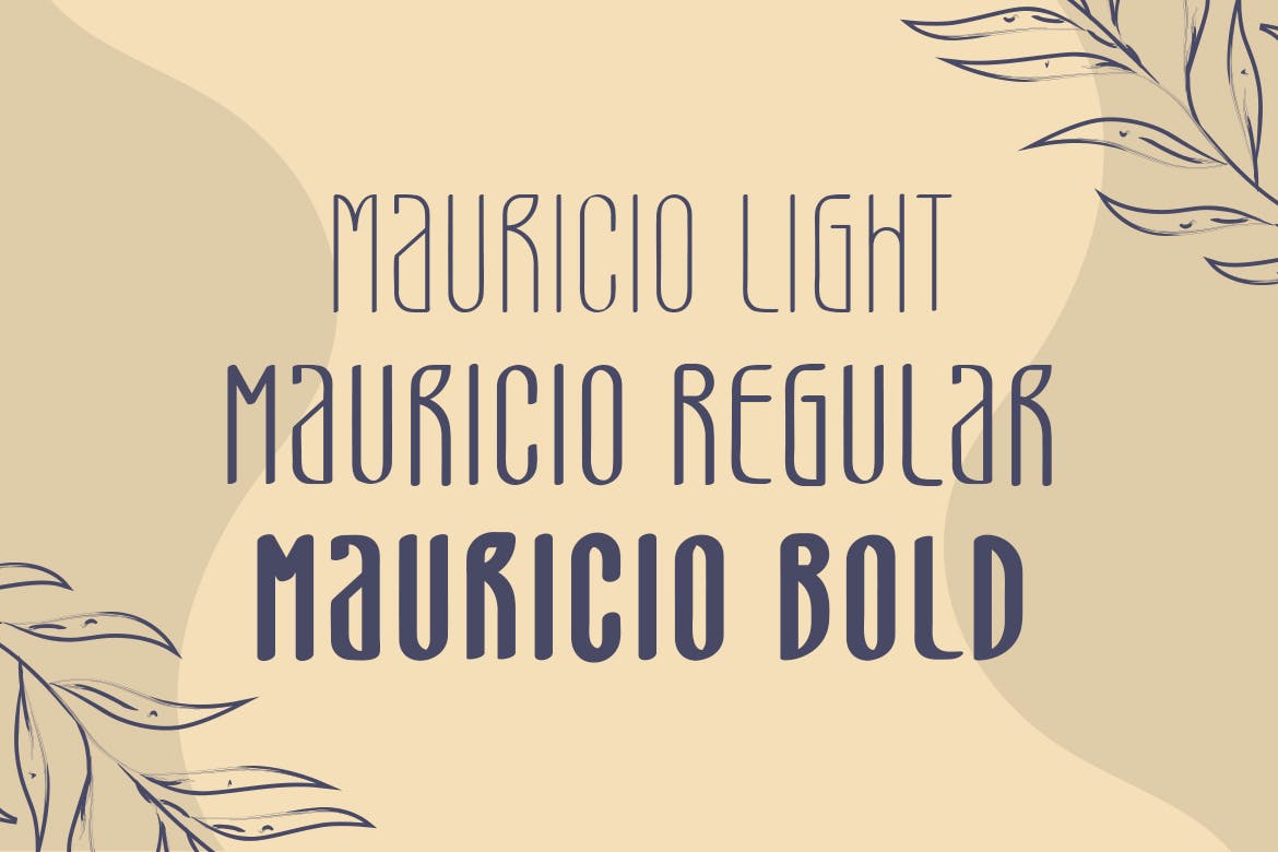 现代简约品牌名片徽标设计无衬线英文字体 Mauricio – A Sans Font Family_img_2