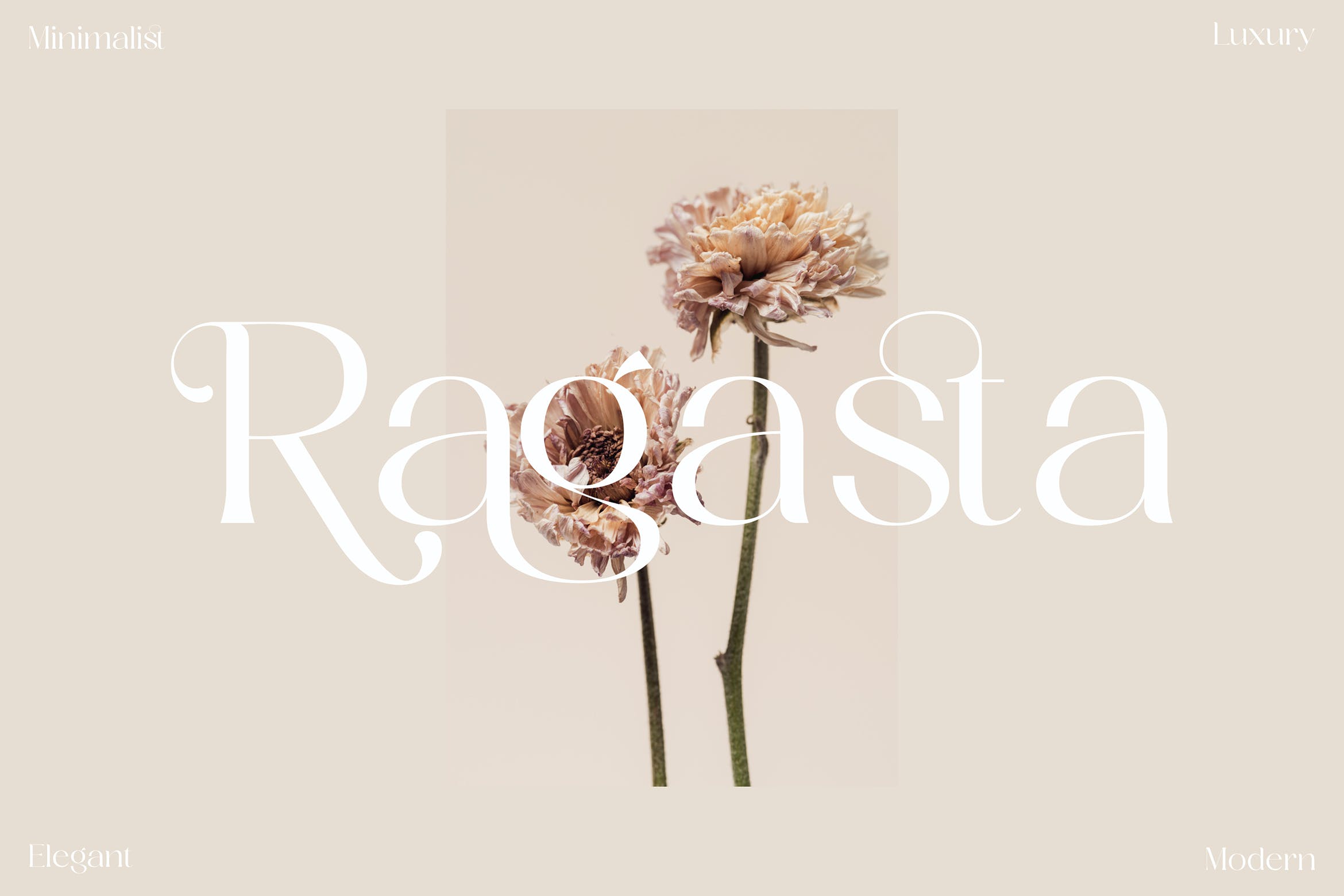优雅海报品牌项目设计衬线英文字体 Ragasta Minimalist Serif Font LS_img_2