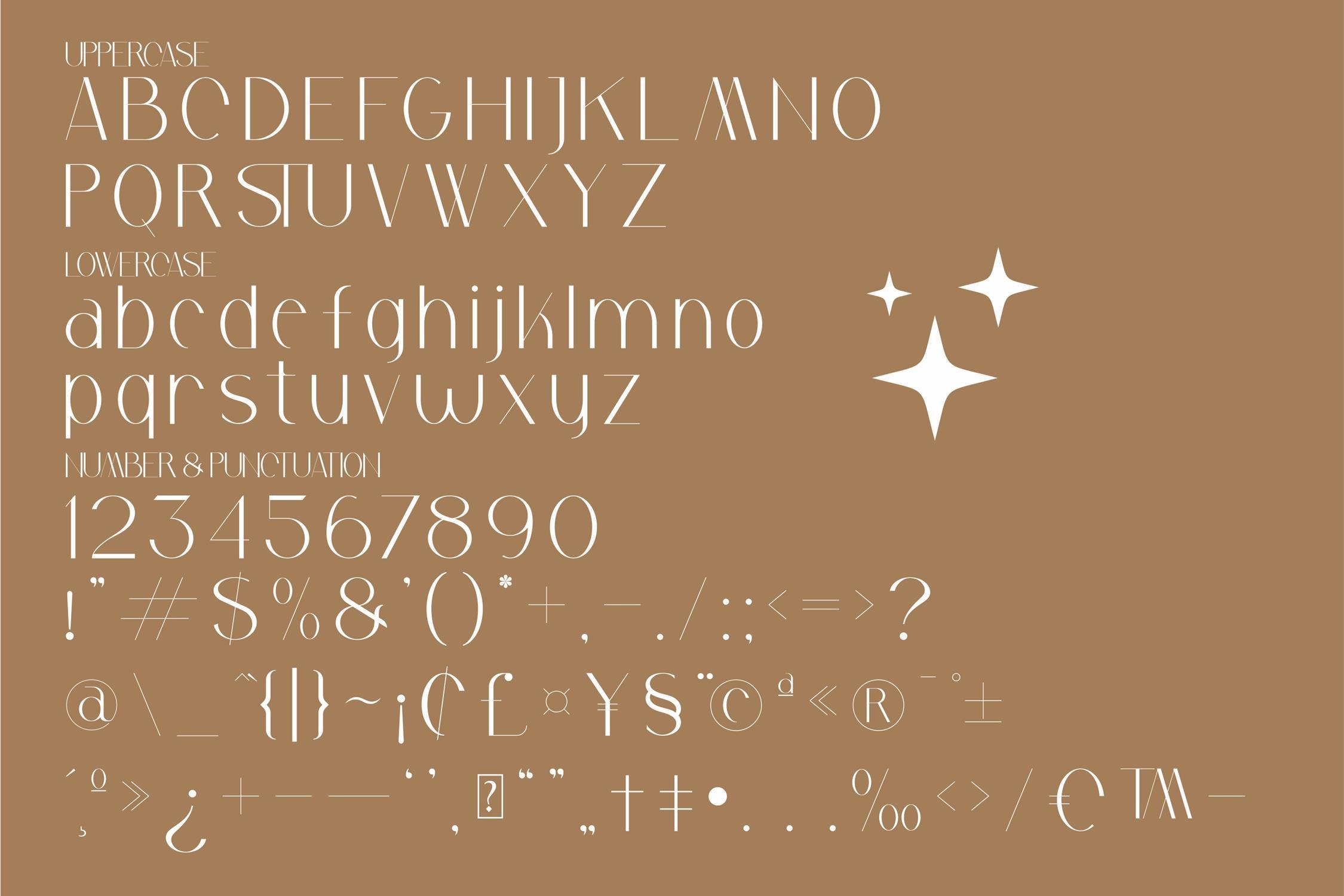 现代优雅海报标识徽标logo设计衬线英文字体 Safira Beautiful Serif Font LS_img_2