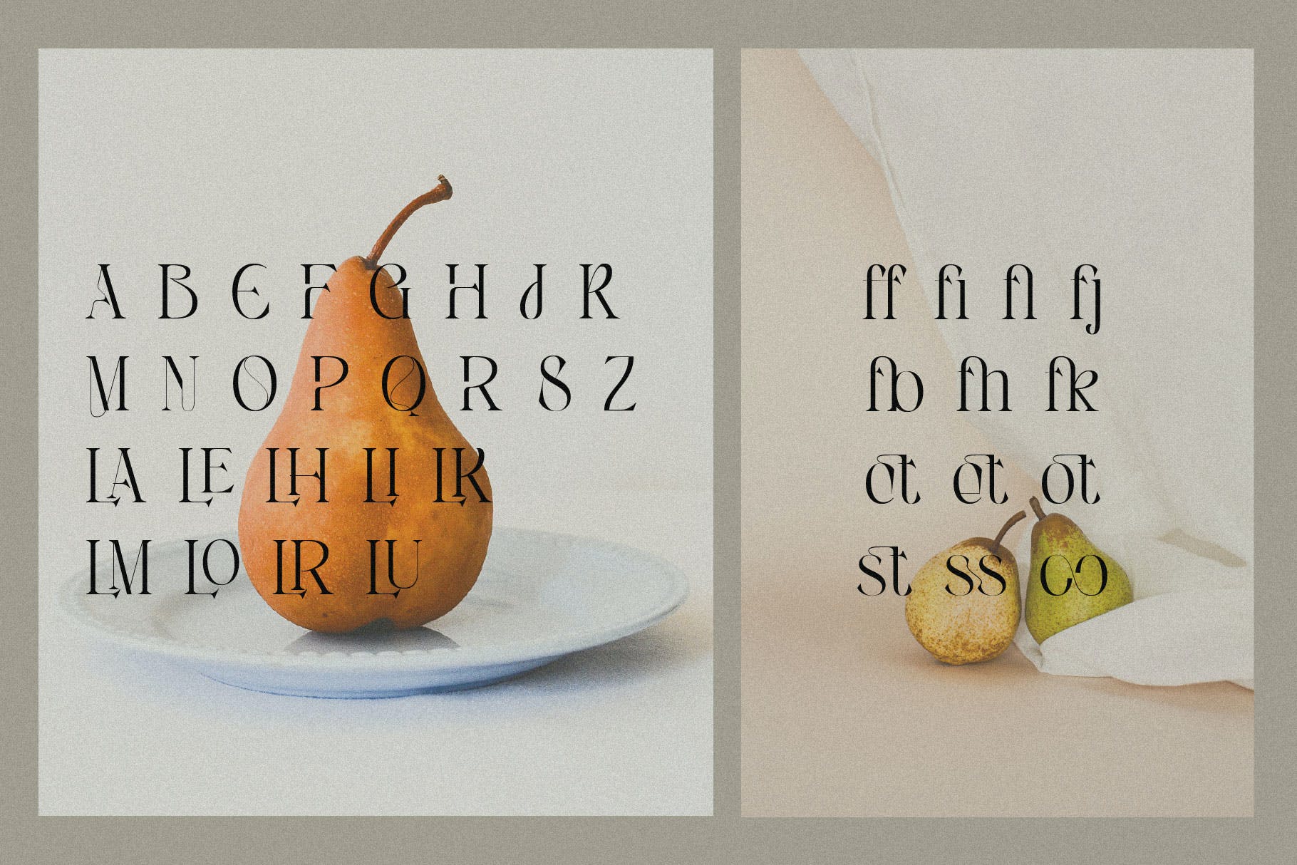 优雅杂志品牌徽标logo设计衬线英文字体 Angelissa - Elegant Modern Serif_img_2