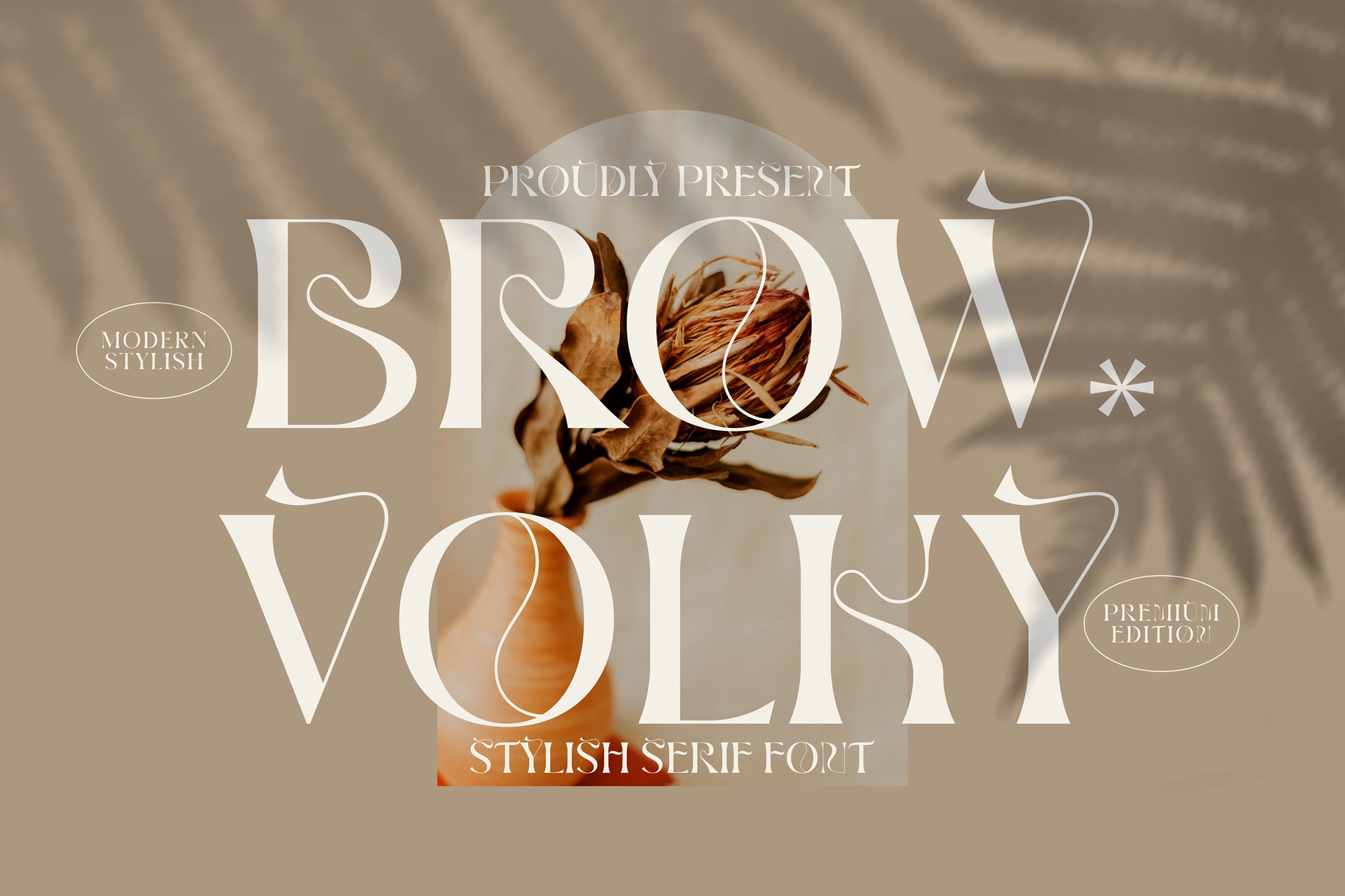 时尚标识品牌海报设计衬线英文字体 Brown Volky Stylish Serif Font LS_img_2
