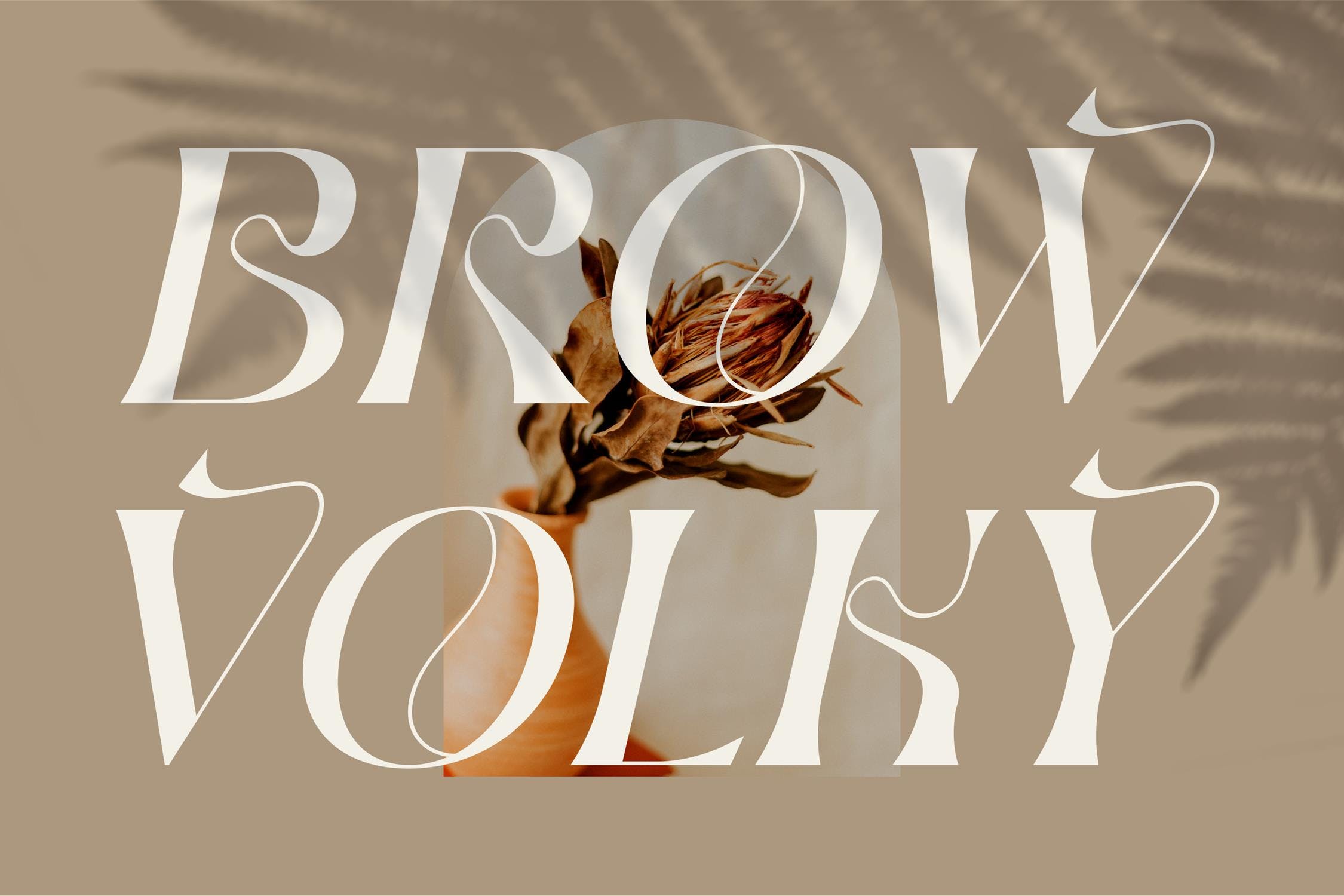 时尚标识品牌海报设计衬线英文字体 Brown Volky Stylish Serif Font LS_img_2