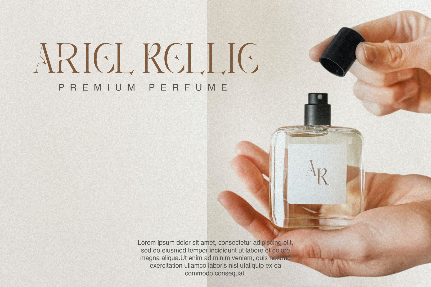 优雅杂志品牌徽标logo设计衬线英文字体 Angelissa - Elegant Modern Serif_img_2