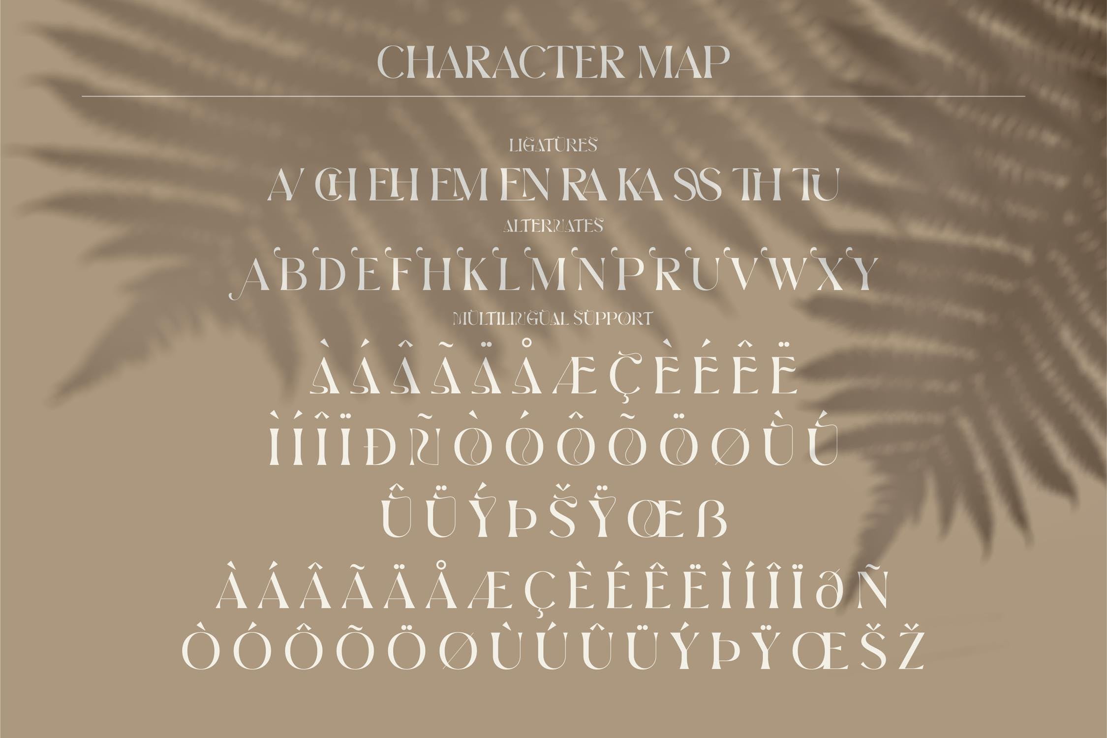 时尚标识品牌海报设计衬线英文字体 Brown Volky Stylish Serif Font LS_img_2
