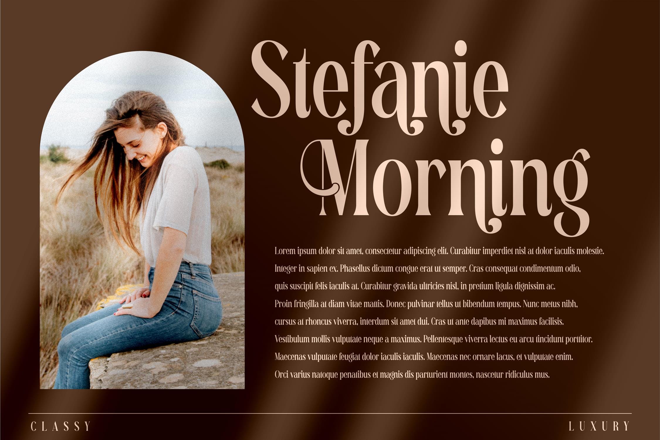 现代标识卡片海报设计衬线英文字体 Richardo Flacky Modern Serif Font LS_img_2