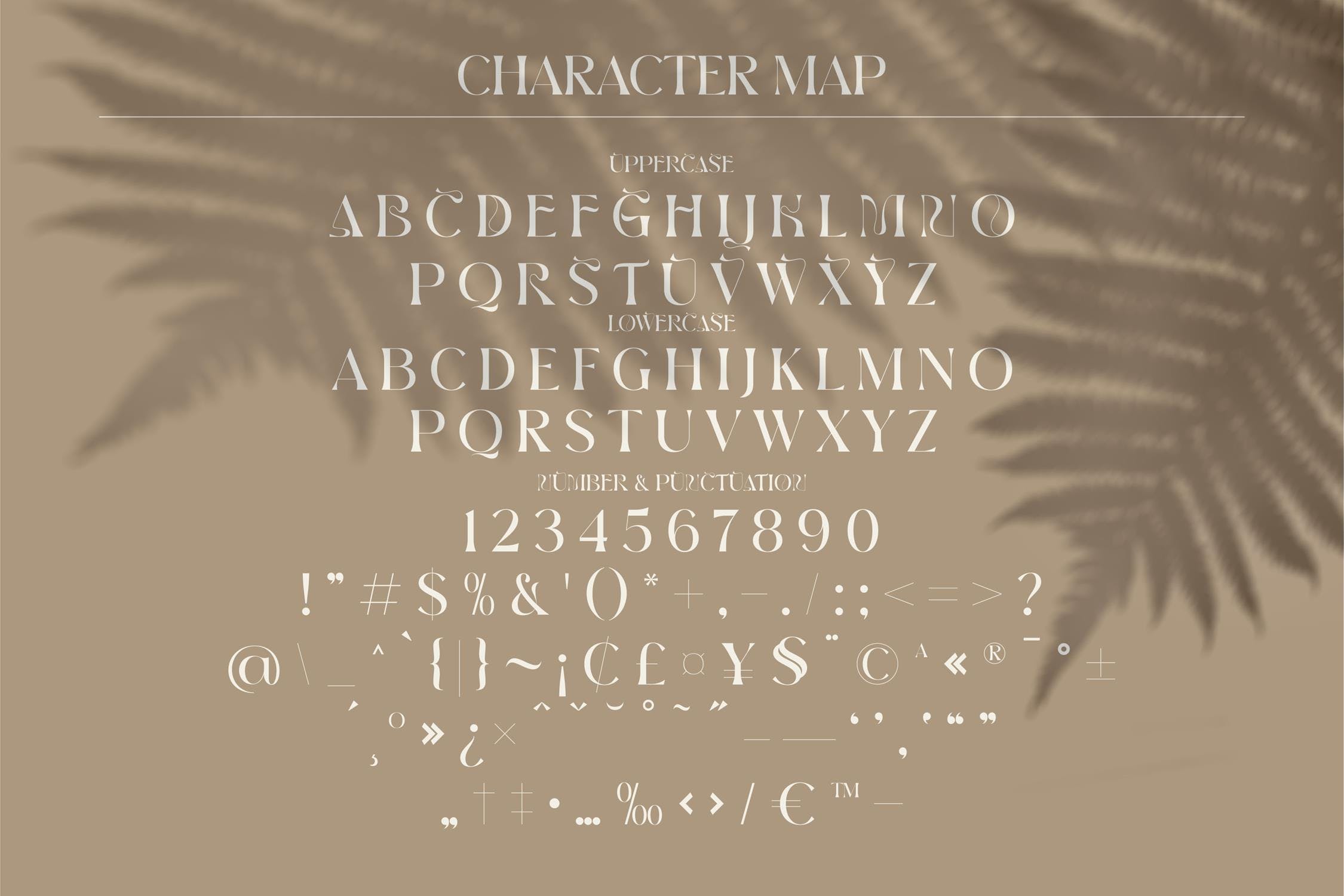时尚标识品牌海报设计衬线英文字体 Brown Volky Stylish Serif Font LS_img_2