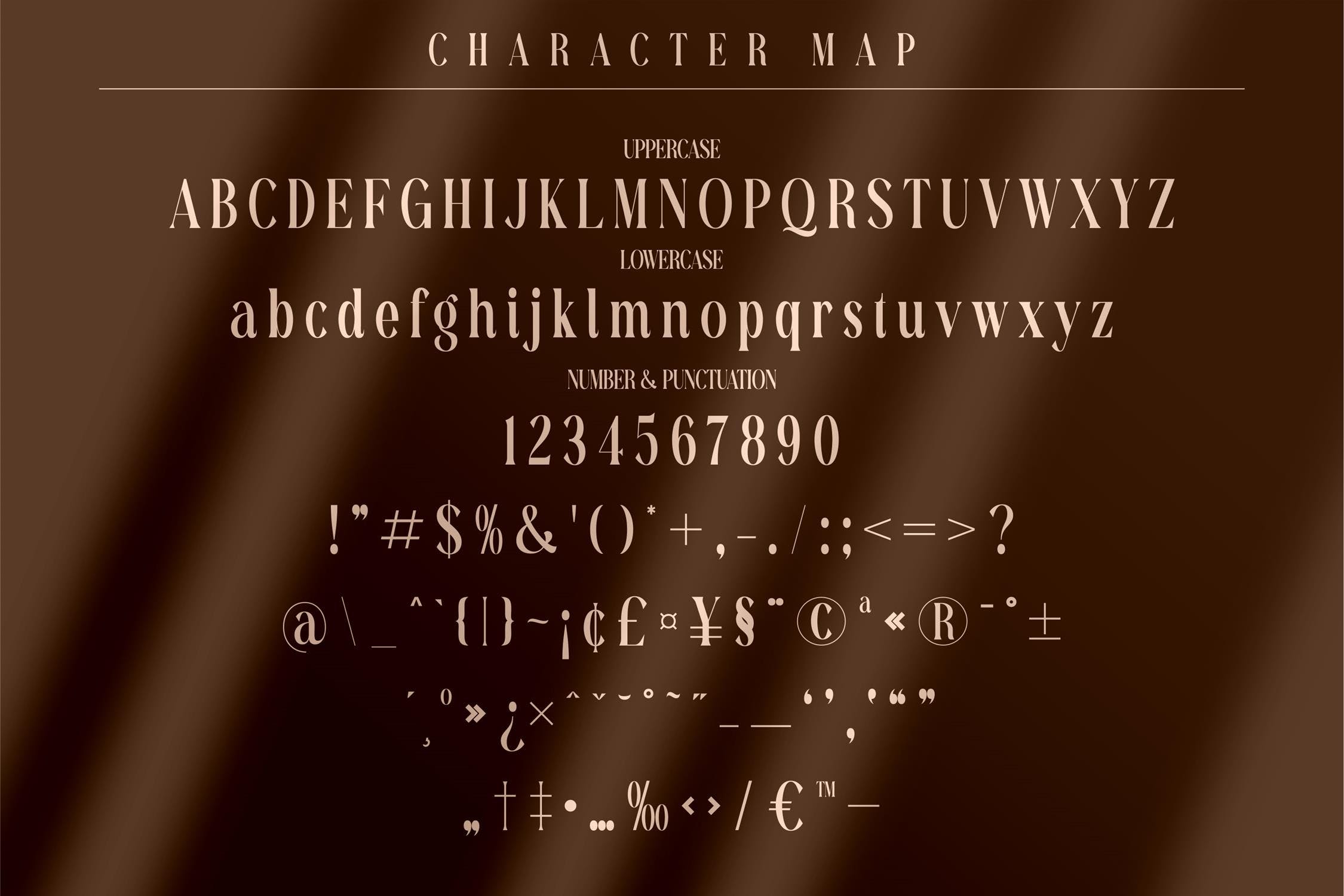 现代标识卡片海报设计衬线英文字体 Richardo Flacky Modern Serif Font LS_img_2