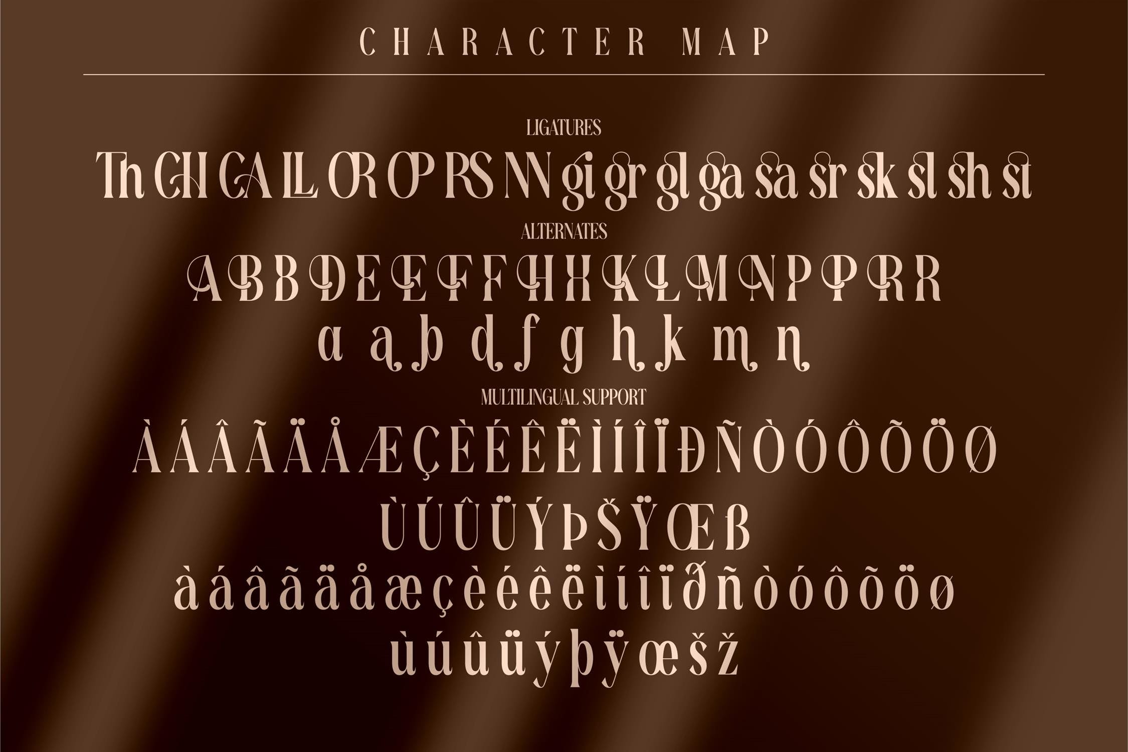 现代标识卡片海报设计衬线英文字体 Richardo Flacky Modern Serif Font LS_img_2