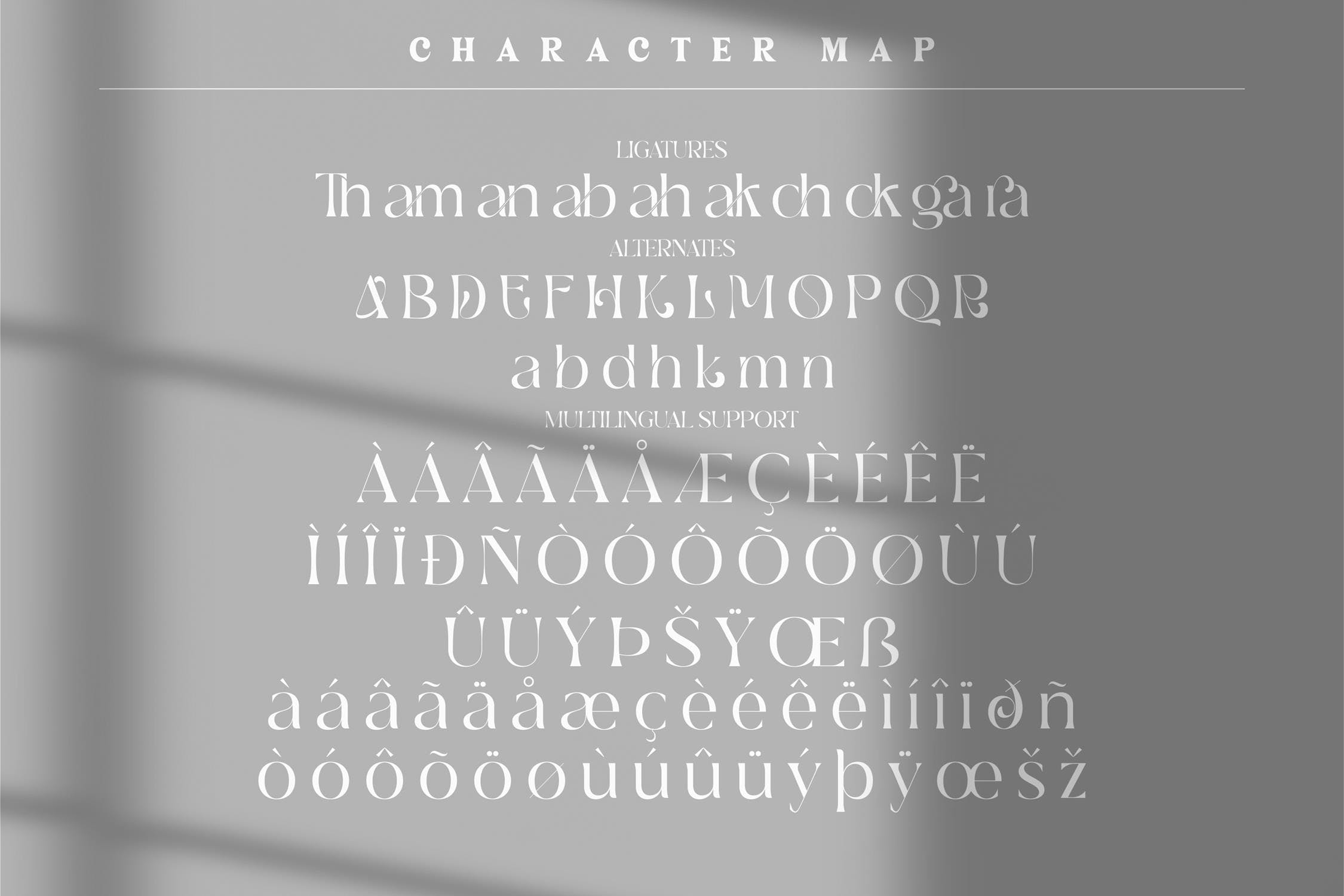现代标识海报品牌设计衬线英文字体 Deraga Classic Serif Font LS_img_2