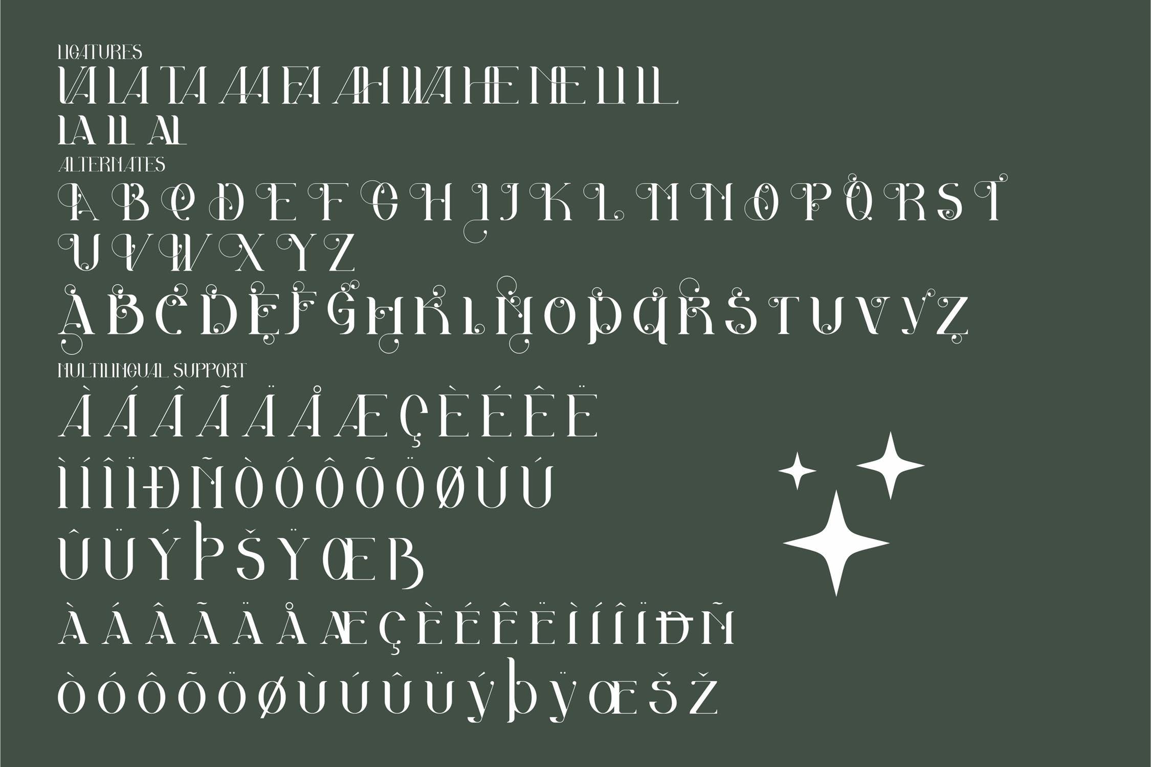 现代优雅海报品牌标识设计衬线英文字体 Akila Modern Serif Font LS_img_2
