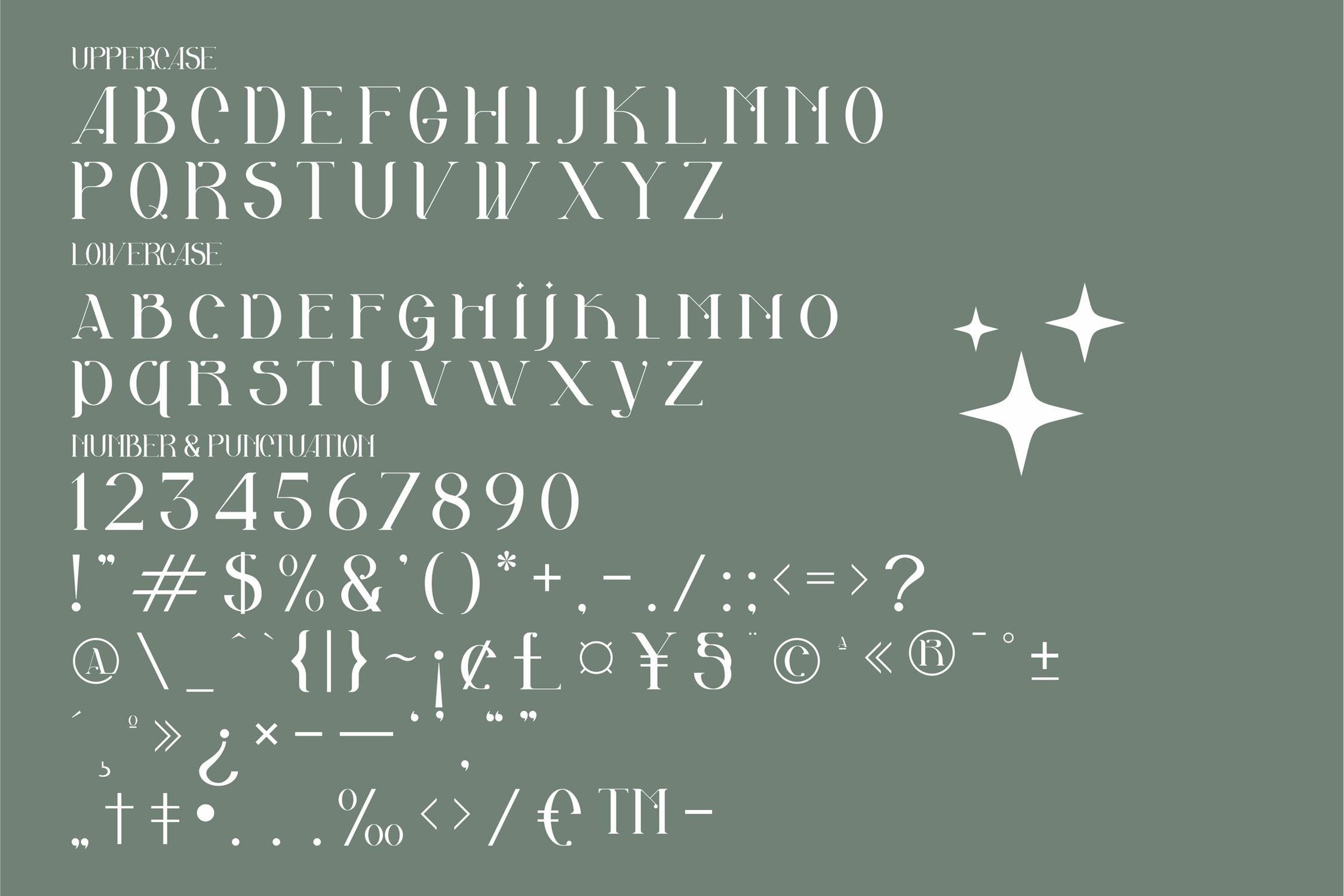 现代优雅海报品牌标识设计衬线英文字体 Akila Modern Serif Font LS_img_2