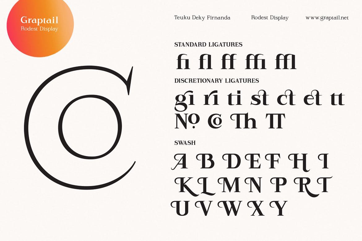 现代杂志品牌徽标logo设计衬线英文字体 Rodest - Font Family_img_2