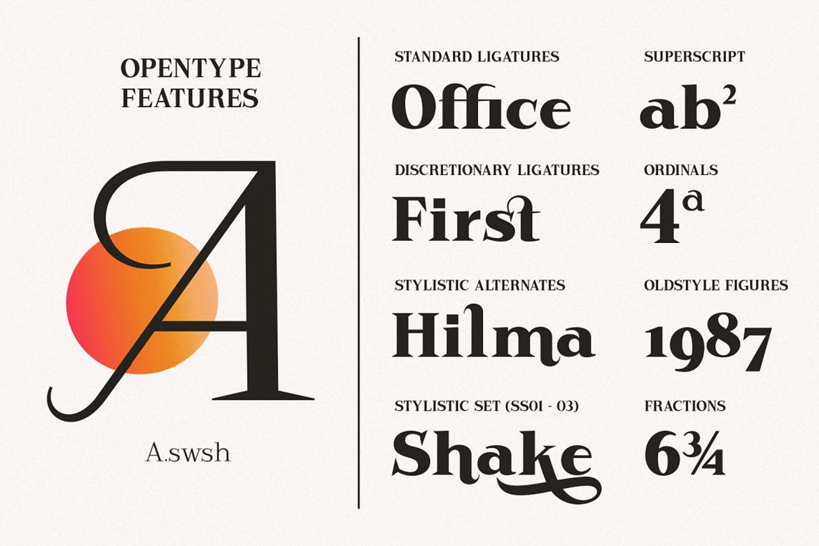 现代杂志品牌徽标logo设计衬线英文字体 Rodest - Font Family_img_2