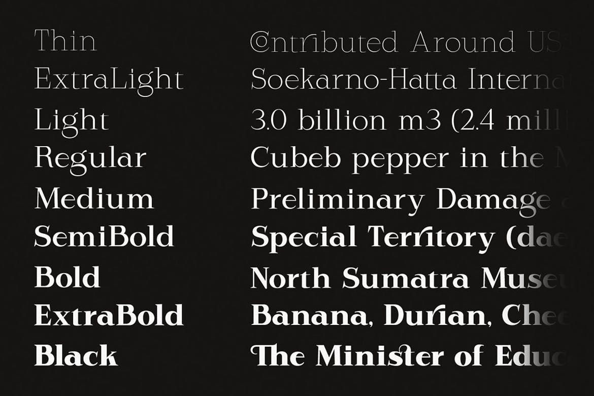 现代杂志品牌徽标logo设计衬线英文字体 Rodest - Font Family_img_2
