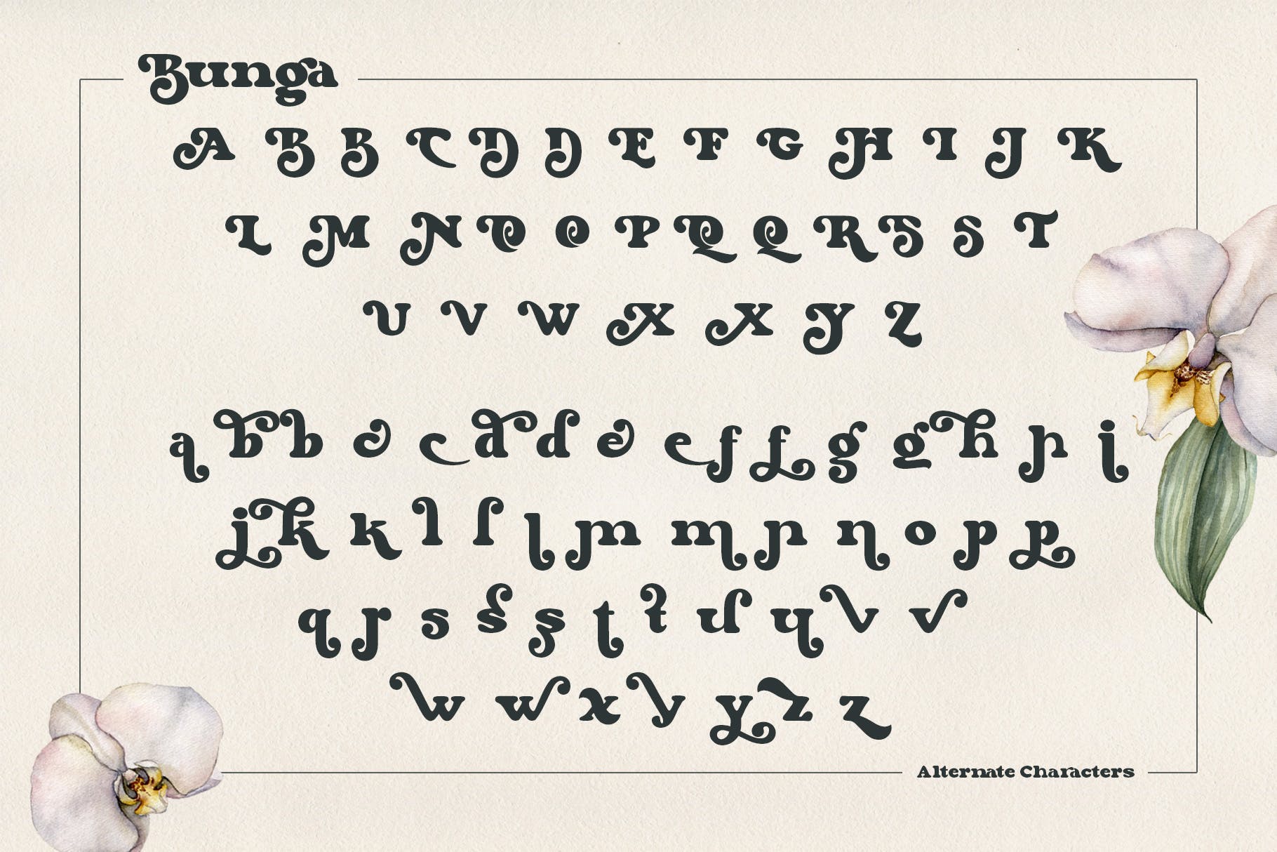 复古杂志标志标识设计衬线英文字体 Bunga_img_2